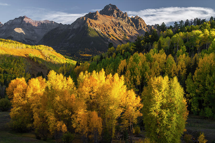 Colorado Autumn Gold Photograph by Joseph Rossbach