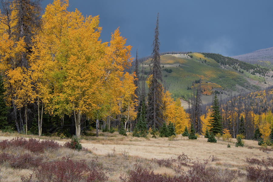 Colorado Autumn Rain Shower Landscape Photograph by Cascade Colors