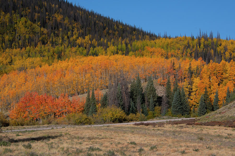 Colorado Autumn Rainbow of Color Photograph by Cascade Colors