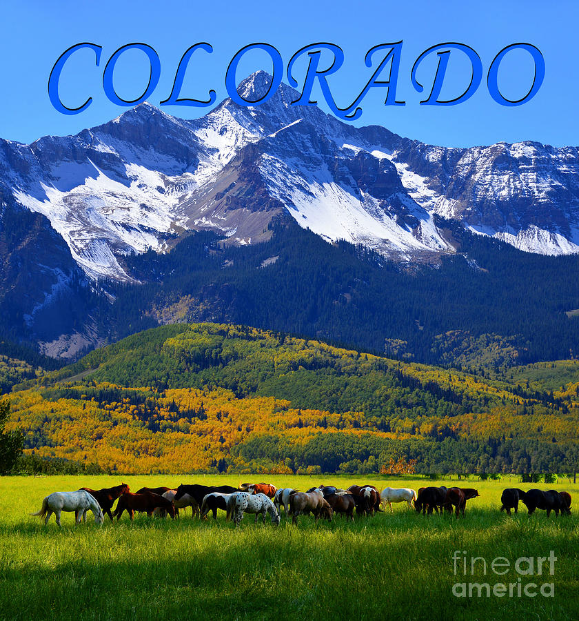 Colorado beauty blue text  Photograph by David Lee Thompson