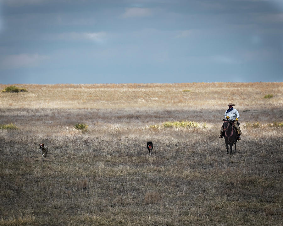 Colorado Cowboy 1 Photograph by Laura Hedien