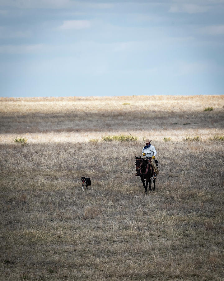 Colorado Cowboy 2 Photograph by Laura Hedien