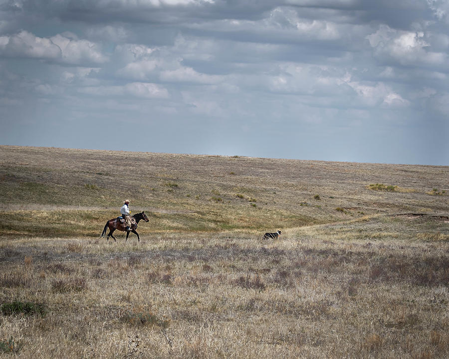 Colorado Cowboy 5 Photograph by Laura Hedien