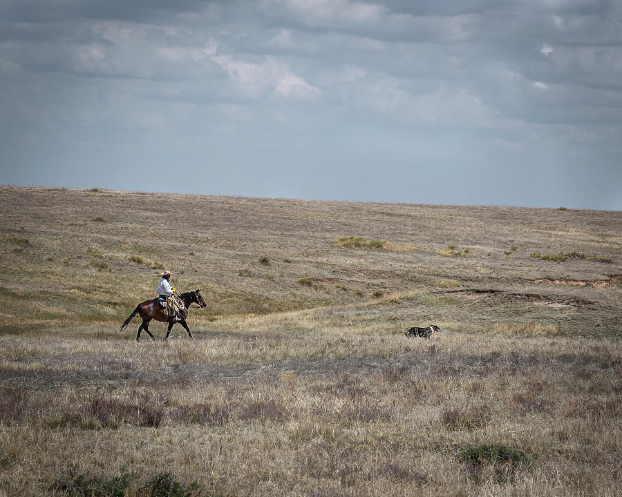 Colorado Cowboy 6 Photograph by Laura Hedien