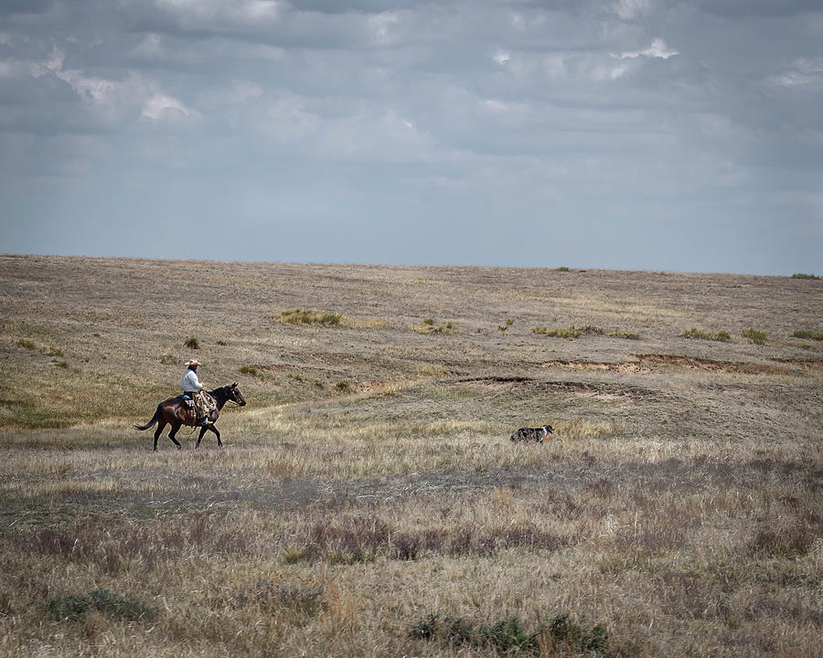 Colorado Cowboy 7 Photograph by Laura Hedien