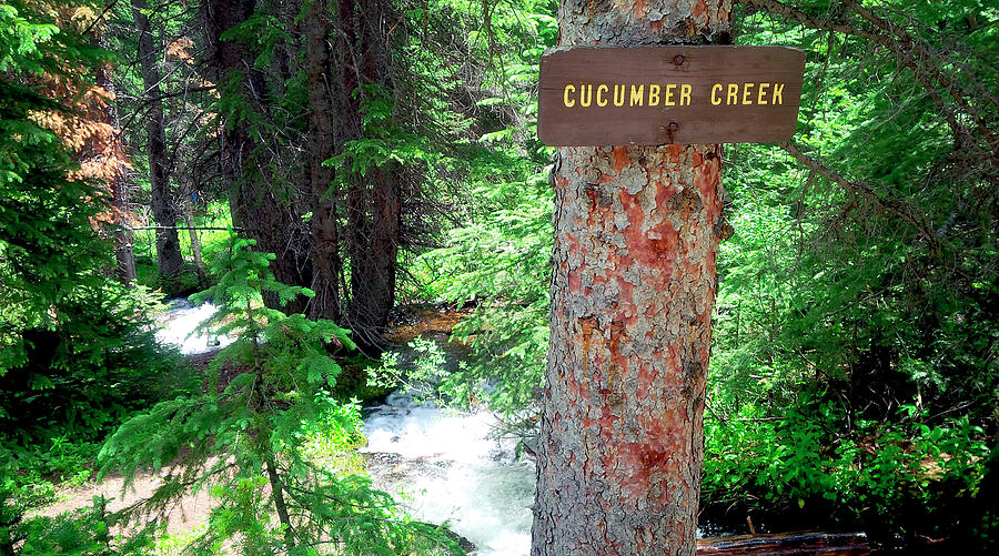 Colorado Cucumber Creek Photograph by Bill Owen - Fine Art America