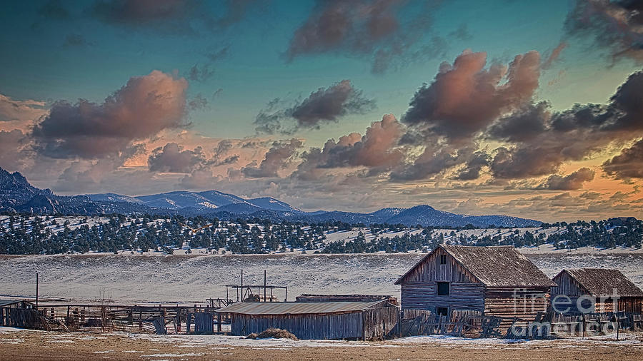 Colorado Empty Homestead Photograph by Janice Pariza
