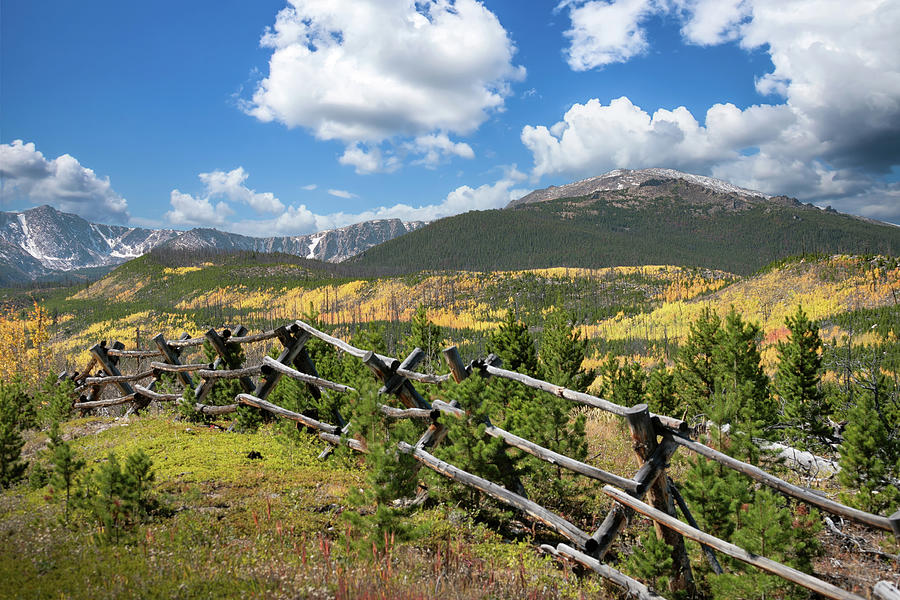Colorado Estes Park - Rocky Mountains - Jack Leg fence - Aspen - Fall color Photograph by Harold Rau