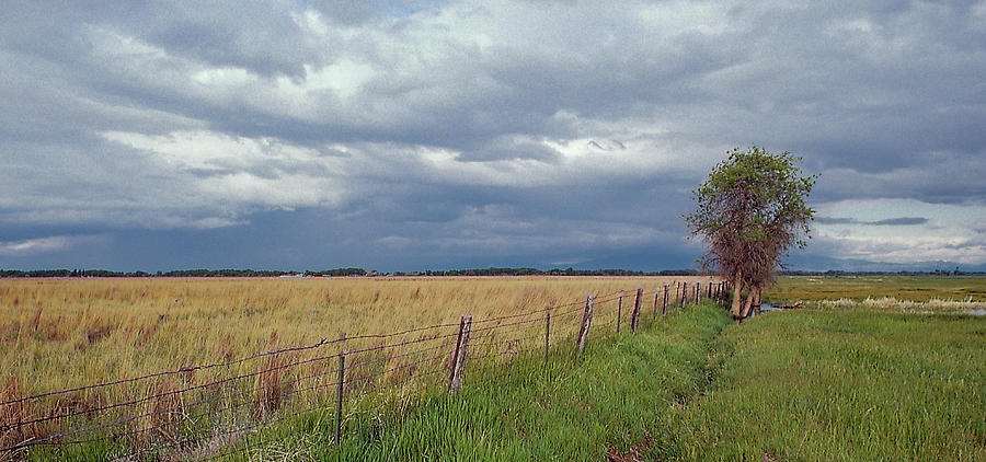 Colorado Farm Land Photograph by S Katz