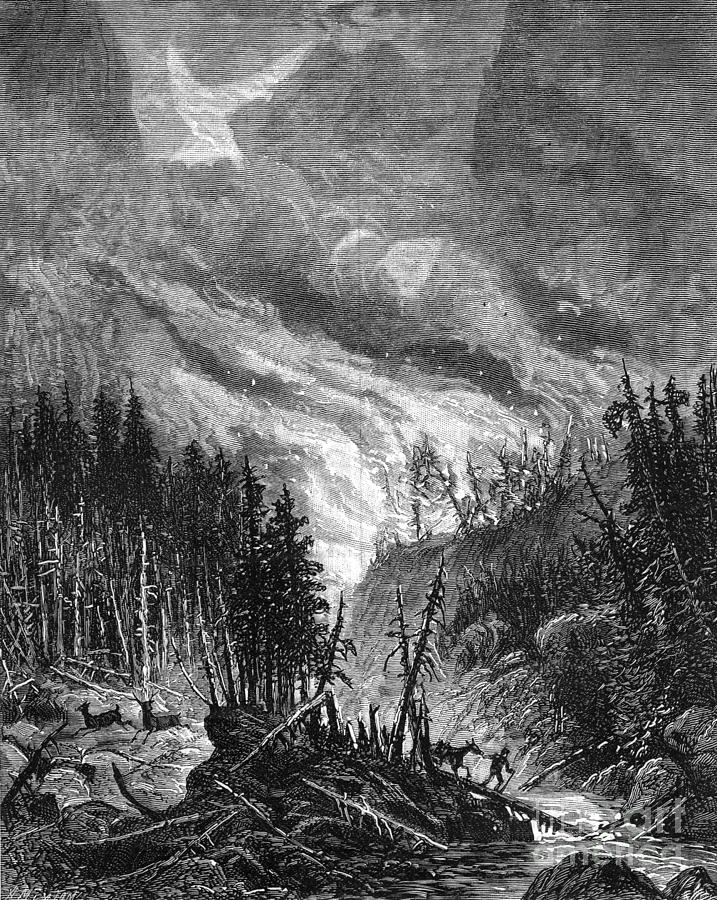 Colorado Forest Fire, 1879 Photograph by Bagley