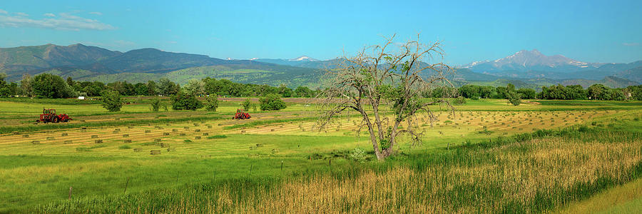 Colorado Front Range Hay Farming Panoramic View Photograph by James BO Insogna