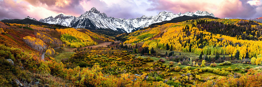 Colorado Gold Photograph by Ryan Smith