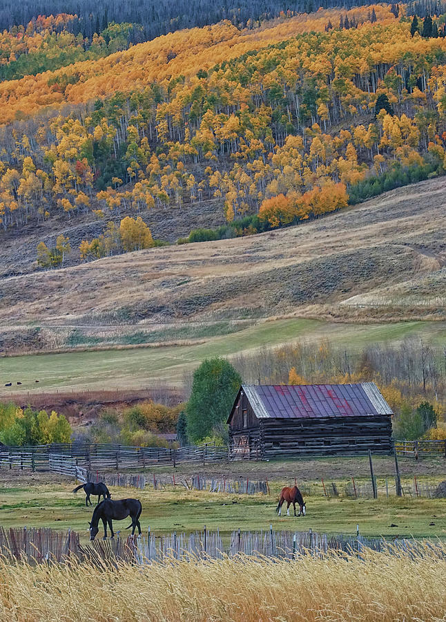 Colorado Horse Ranch Photograph
