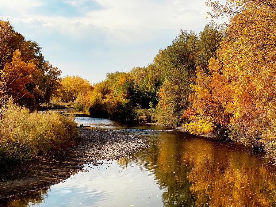 Colorado in the Fall Photograph by Marisa Guerrero - Fine Art America