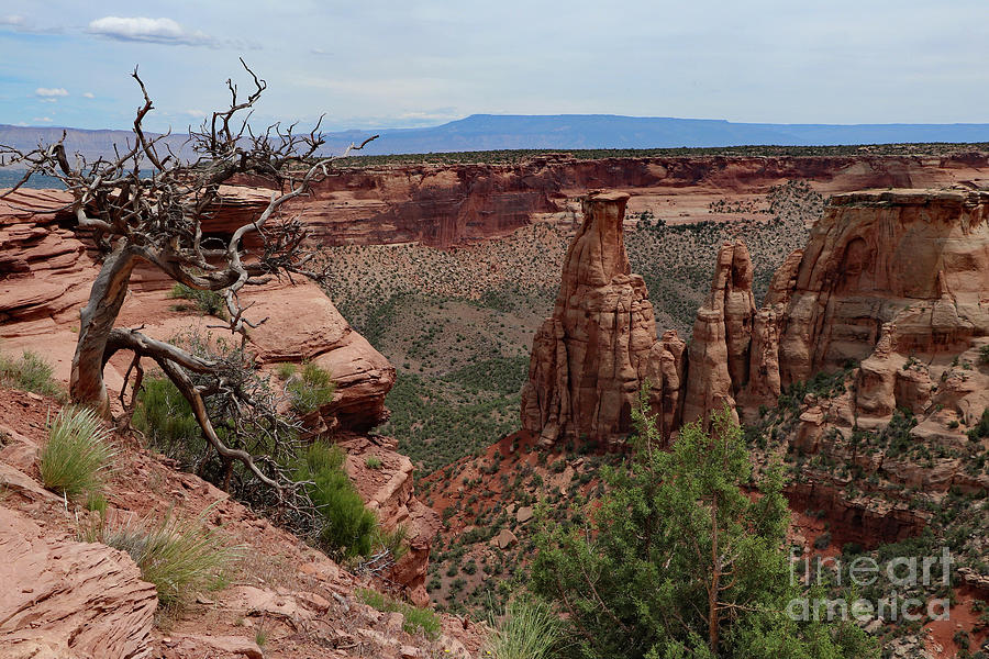 Nature Photograph - Colorado Monument Canyon View by Christiane Schulze Art And Photography