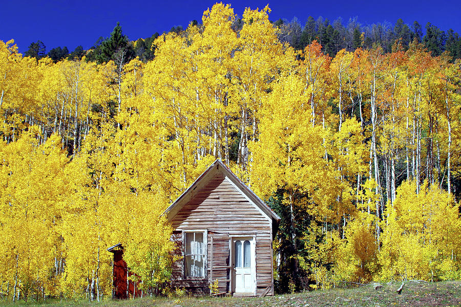 Colorado Mountain Cabin Photograph by Douglas Taylor