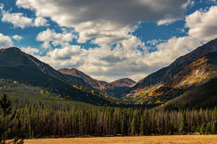 Colorado mountain Photograph by Nathan Wasylewski