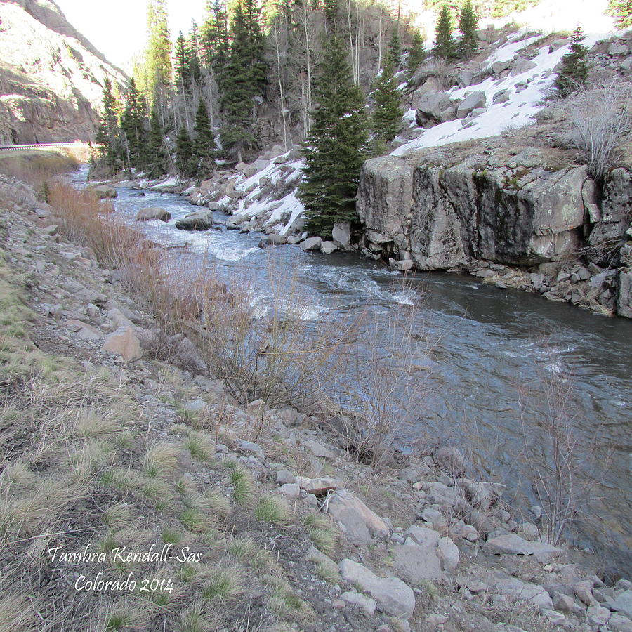 Colorado Mountain Stream Photograph by Tambra Nicole Kendall