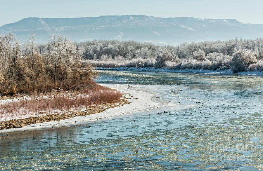 Mountain Photograph - Colorado River and Grand Mesa in Winter by John Arnaldi