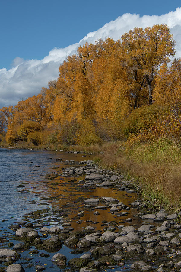 Colorado River Autumn Landscape Photograph by Cascade Colors