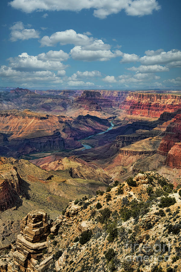 Colorado River Flows Thru Grand Canyon Color  Photograph by Chuck Kuhn