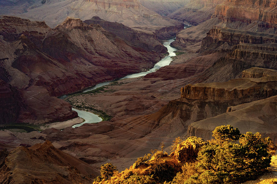 Grand Canyon National Park Photograph - Colorado River in Grand Canyon by Ron Roberts