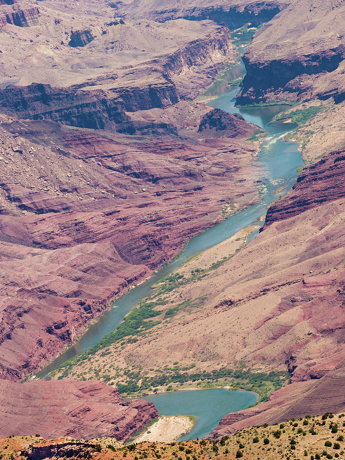 Colorado River in the Grand Photograph by Jessica Yurinko