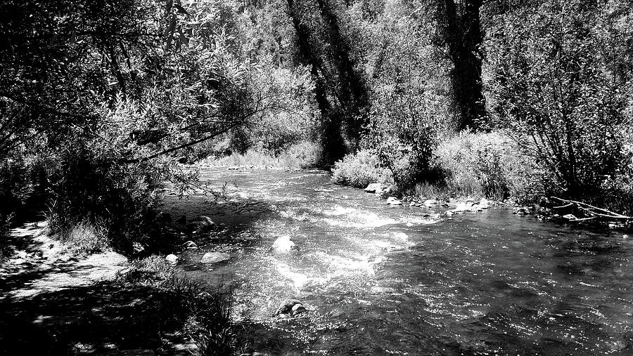 Colorado River No. 2 Black-and-White Photograph by Sarah Dotson - Fine ...