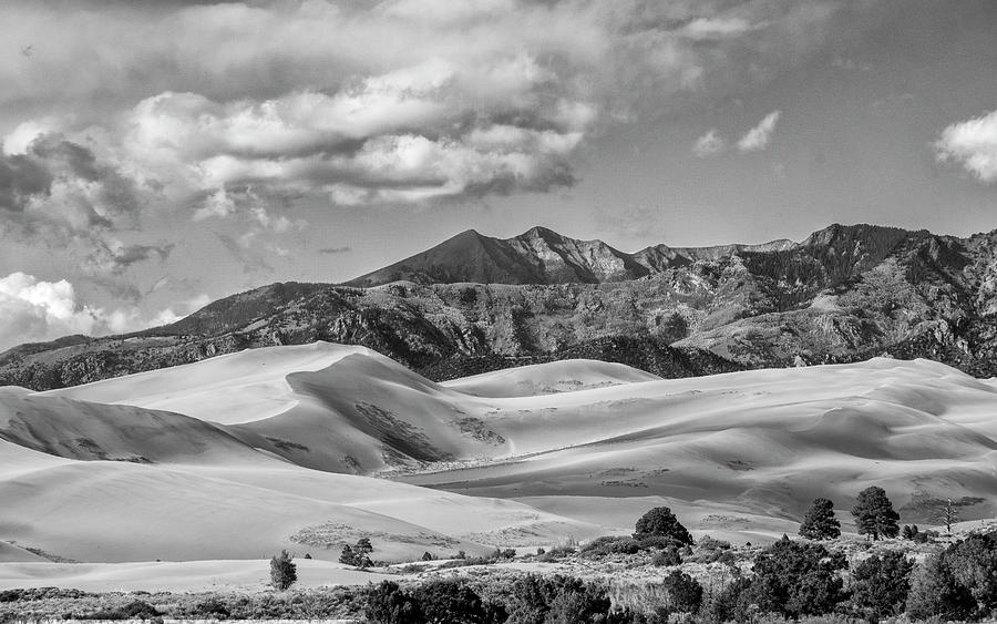 Colorado Sand Dunes Photograph by Tony Locke