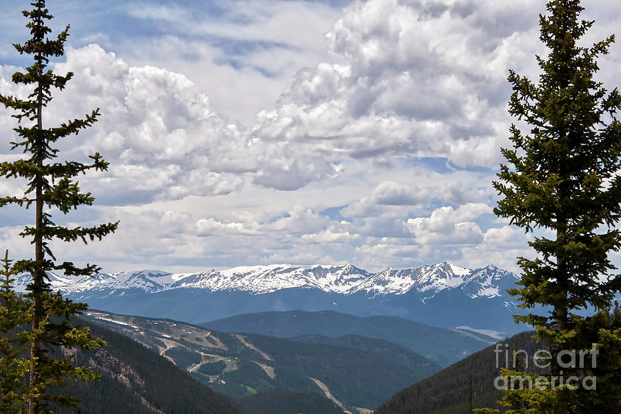 Colorado Ski Slopes In The Summer Photograph by Kirt Tisdale