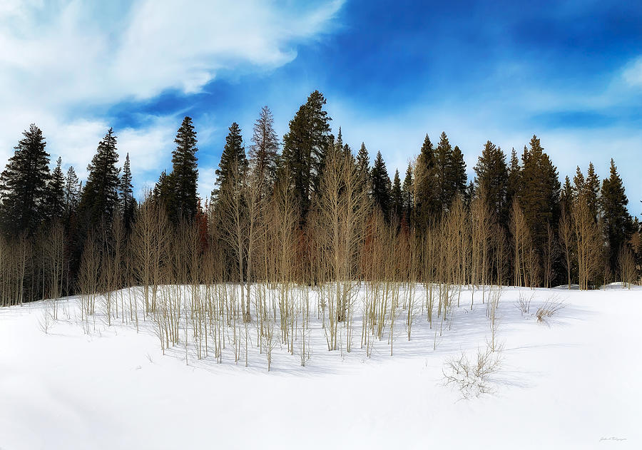 Colorado Mesa Winter  Photograph by John A Rodriguez