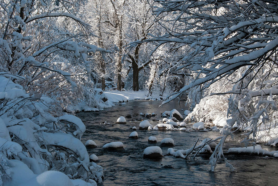 Colorado Snowy Forest and Stream Photograph by Cascade Colors