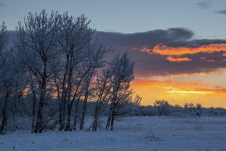 Colorado Snowy Winter Sunrise Photograph