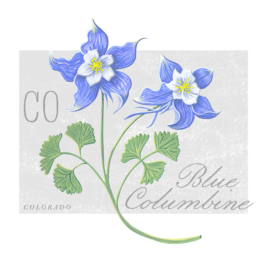 Colorado State Flower Blue Columbine Art by Jen Montgomery Painting by