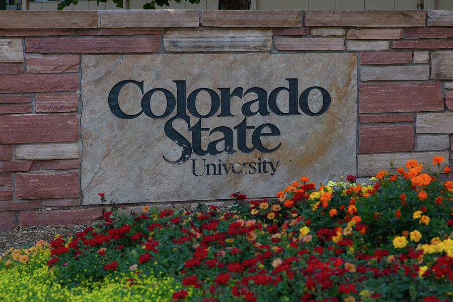 Colorado State University sign Photograph by Eldon McGraw