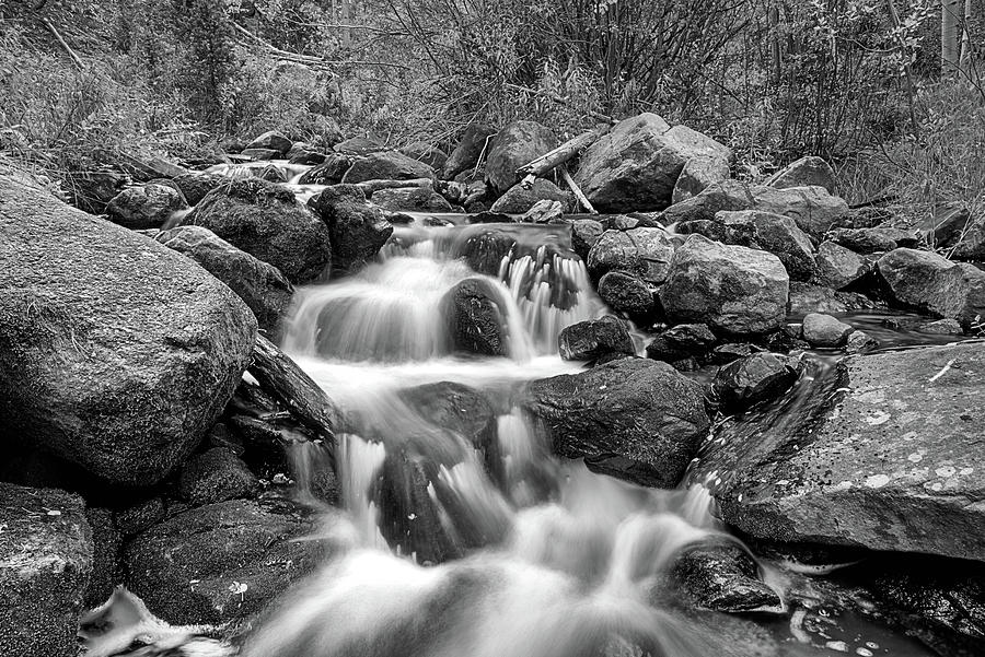 Colorado Stream Grandeur Black And White Photograph by JC Findley