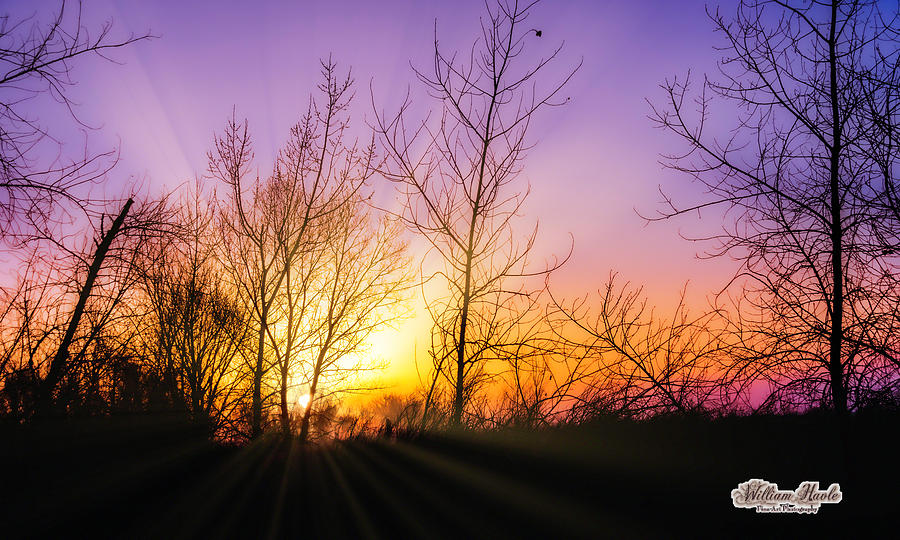 Colorado Sunrise by William Havle Colorado Sunrise by William Havle