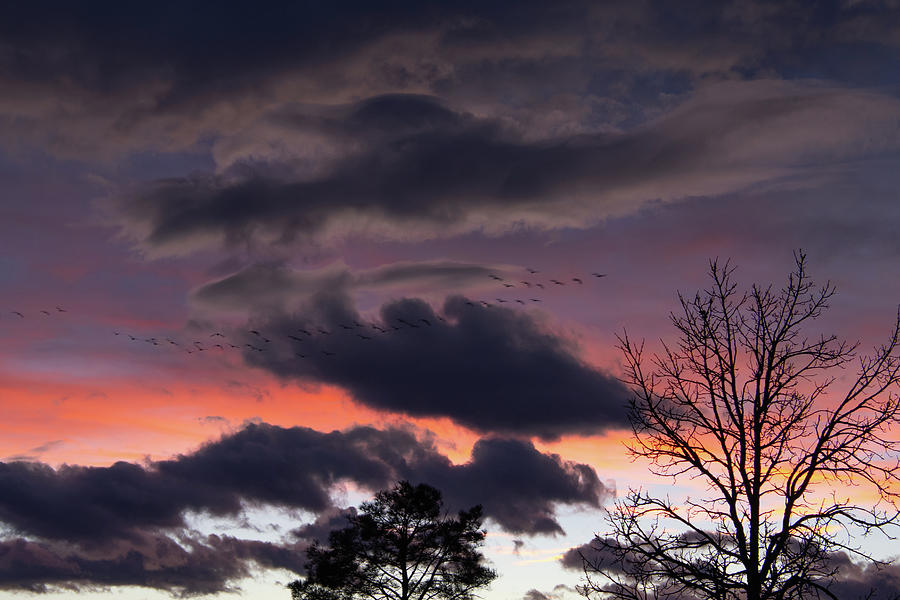 Colorado Sunset Sky with Geese Photograph by Cascade Colors