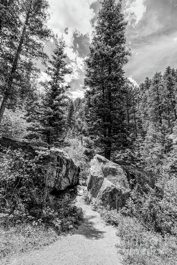 Colorado Trail Through Boulders Grayscale Photograph by Jennifer White
