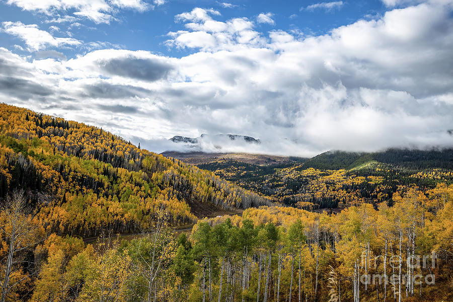 Colorado Views Photograph by Terri Cage