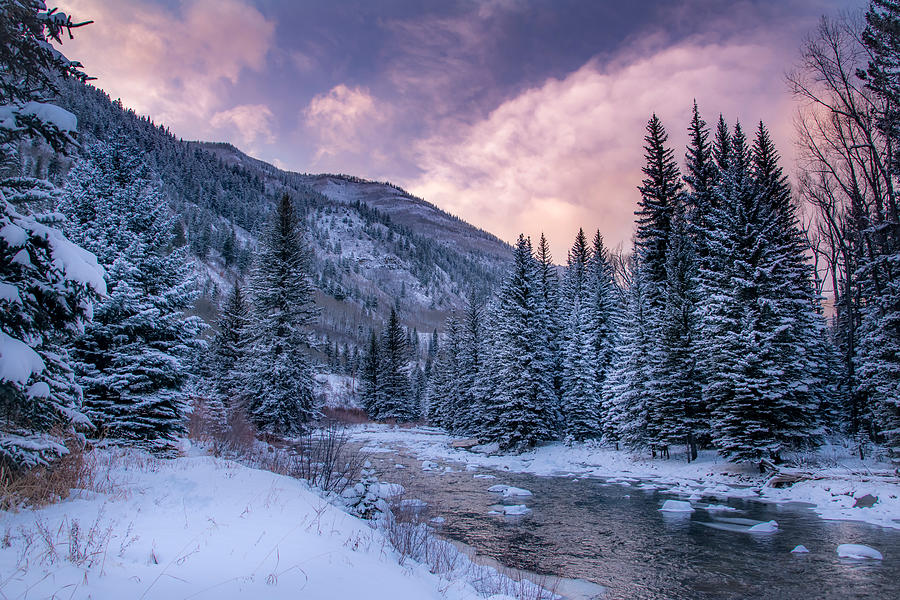 Colorado Winter Wonderland Photograph by Michael J Bauer Photography