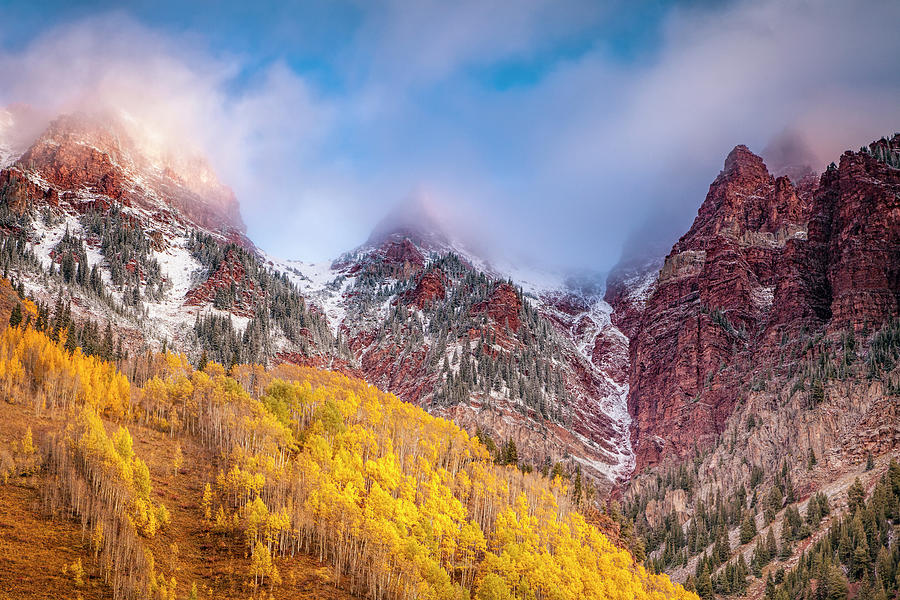 Colorados Golden Aspens Photograph By Andrew Soundarajan Fine Art