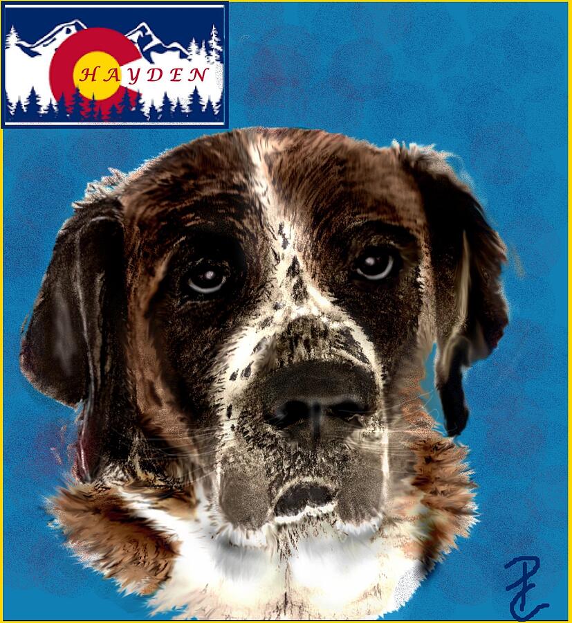 Colorados Hayden Mixed Media by Pamela Calhoun Colorados Hayden Mixed Media by Pamela Calhoun