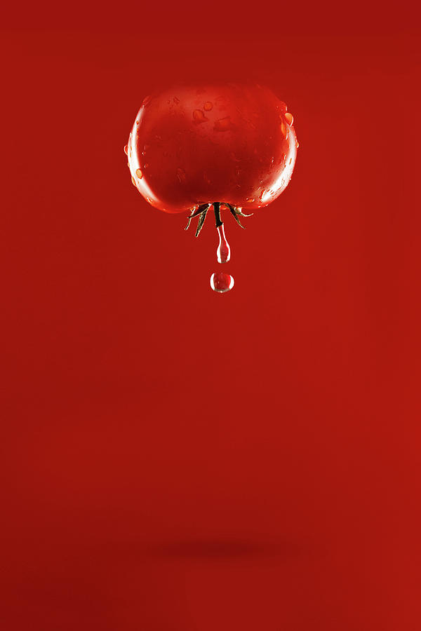 Colorblock Foods no 12 - Tomato on Red Photograph by Beautify My Walls