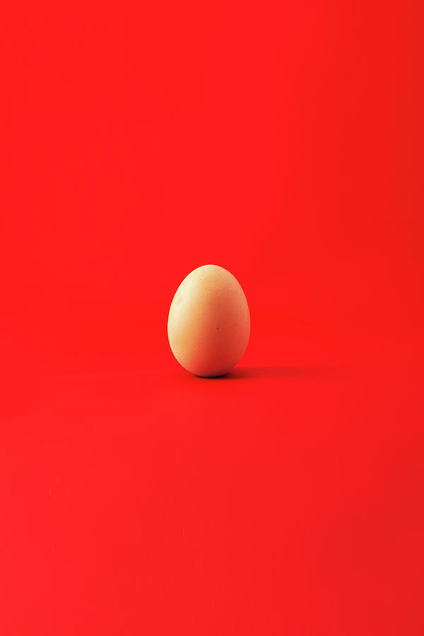 Colorblock Foods no 22 - Egg on Red Photograph by Beautify My Walls