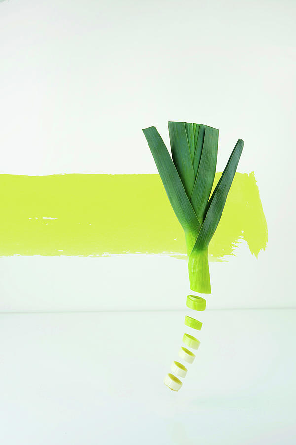 Colorblock Foods no 27 - Chopped Scallion Photograph by Beautify My Walls