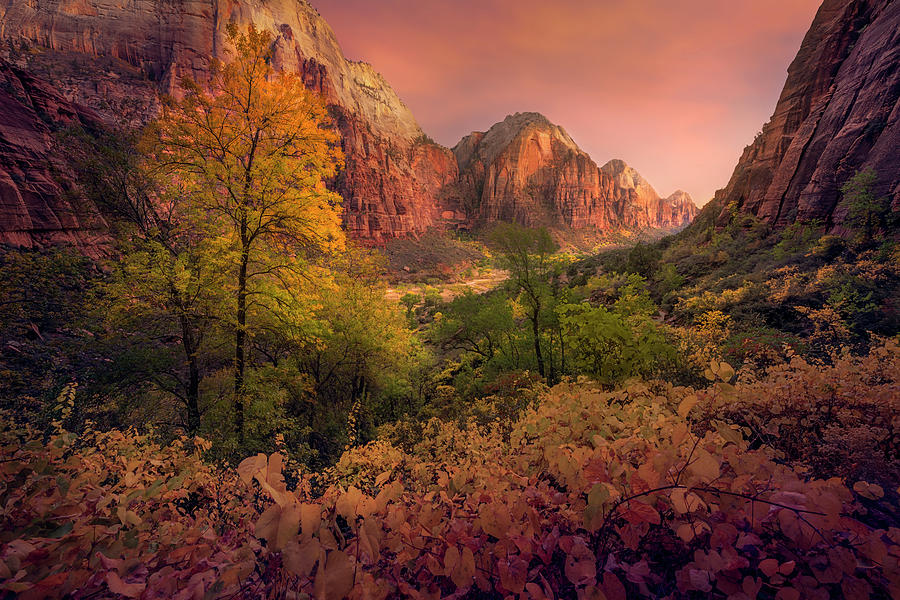 Colored Canyon Photograph by Slow Fuse Photography
