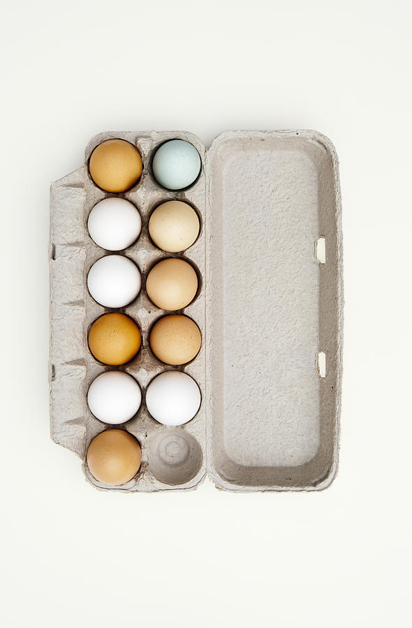 Colored eggs in egg carton Photograph by Karen Beard