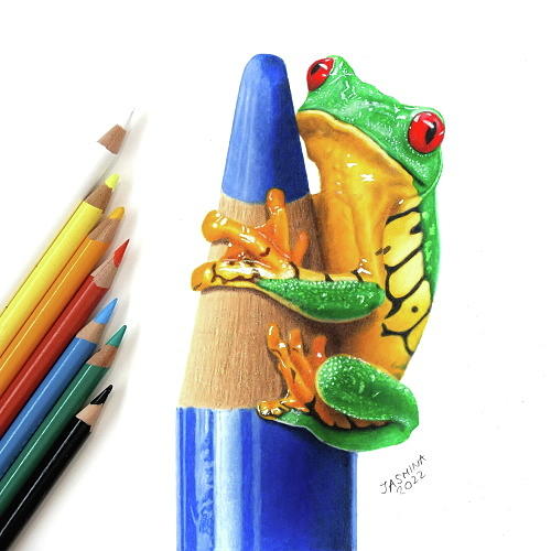 Colored Pencil Drawing Of A Frog On A Pencil Drawing By Jasmina Susak ...