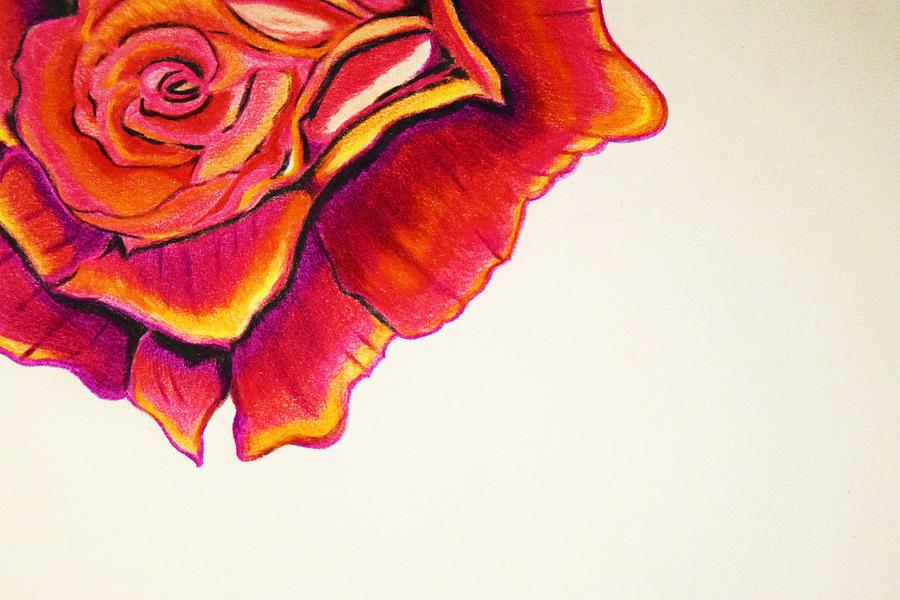 color pencil rose drawing